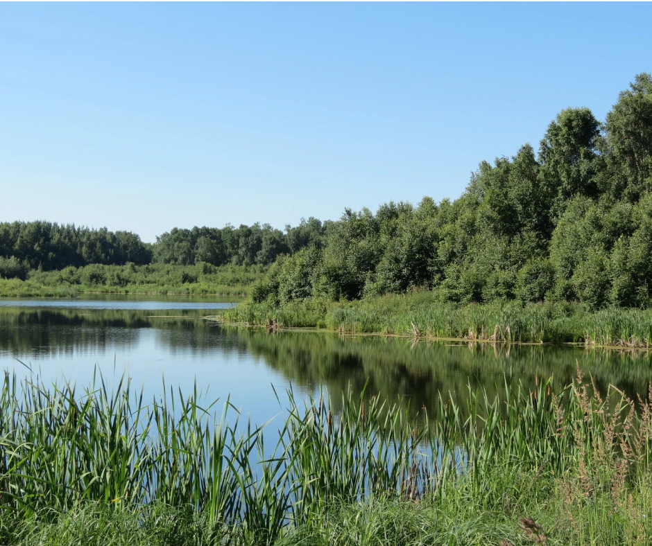 Riparian thumbnail