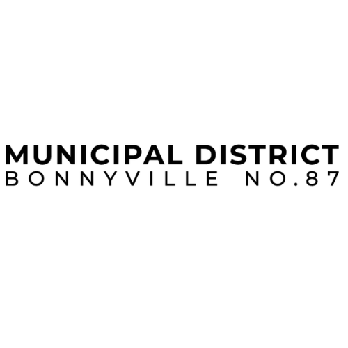 MD of BV