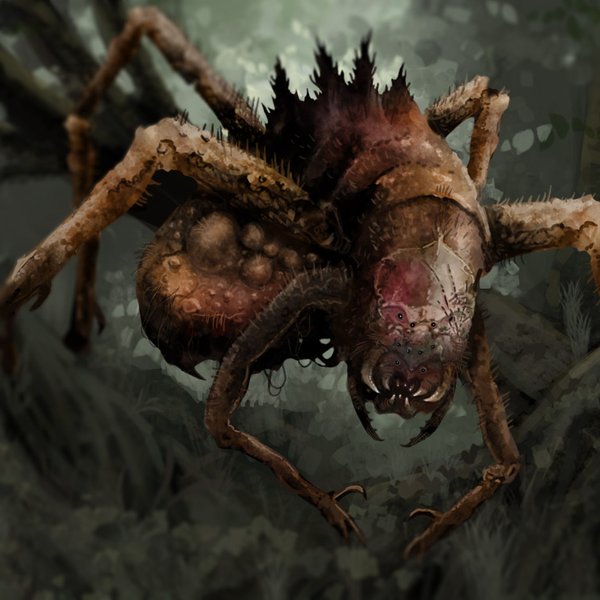 Bramble Spider illustration