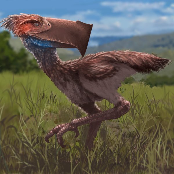 Axe Beak illustration