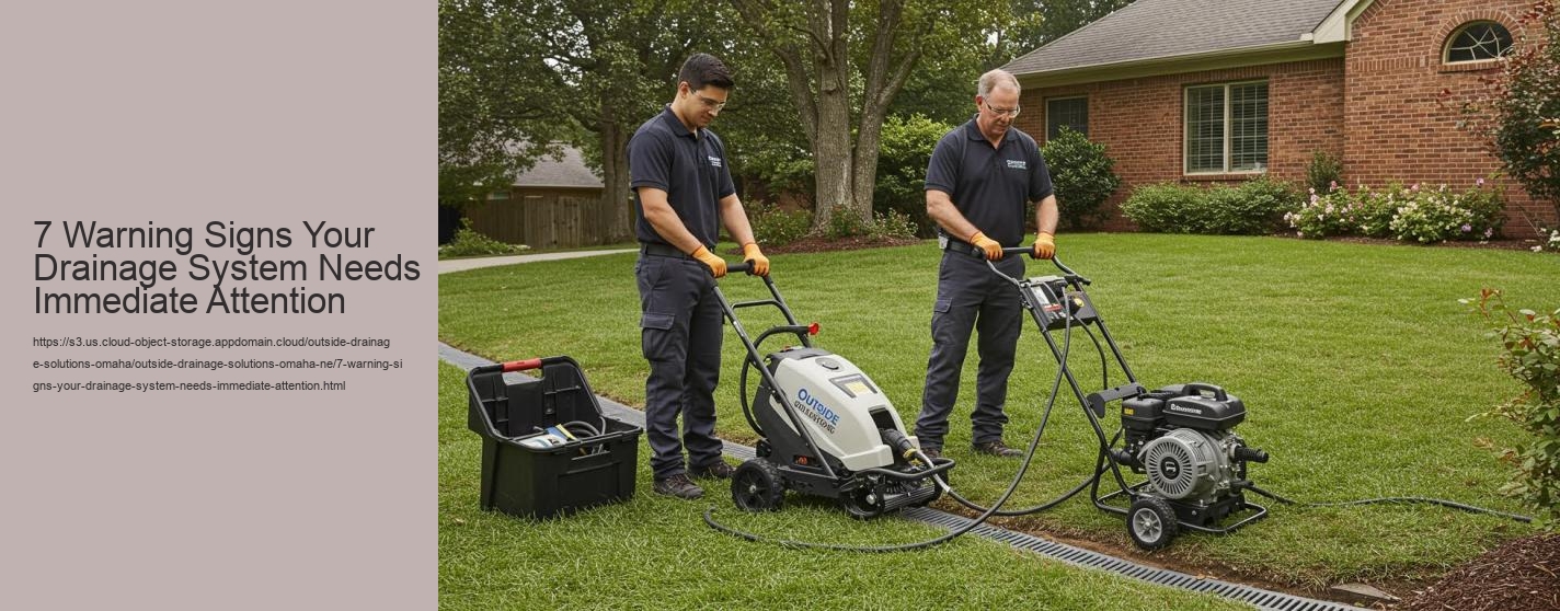 7 Warning Signs Your Drainage System Needs Immediate Attention