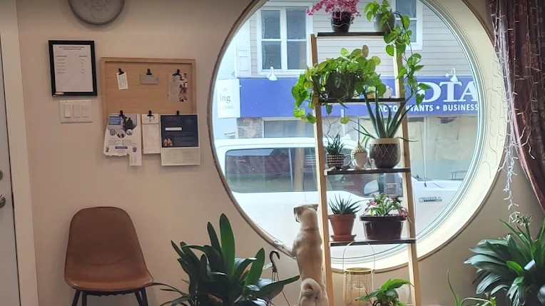 Clinic Interior