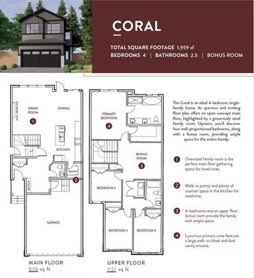 The Coral