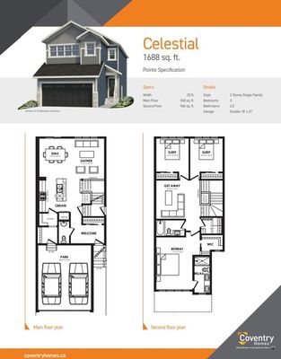 55013 - Celestial
