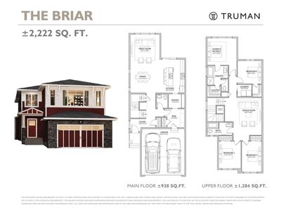 The Briar