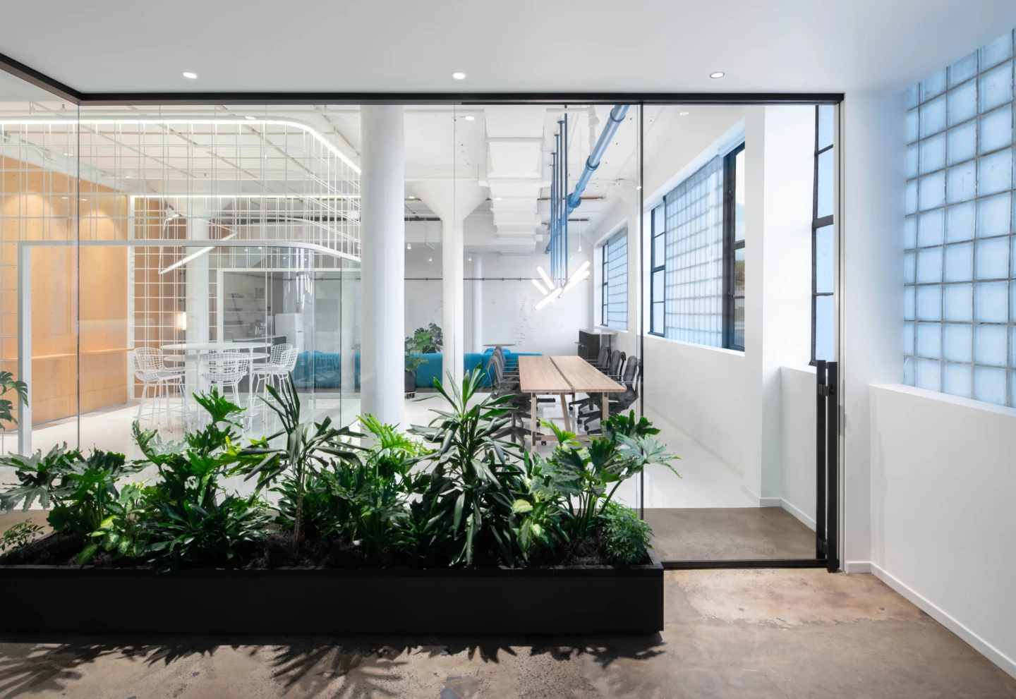 PR BOXONE LABS DB 10