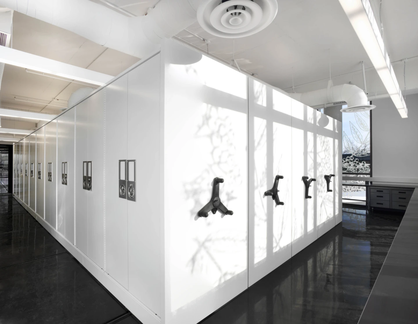 Intérieur du Centre sur la biodiversité de l’Université de Montréal