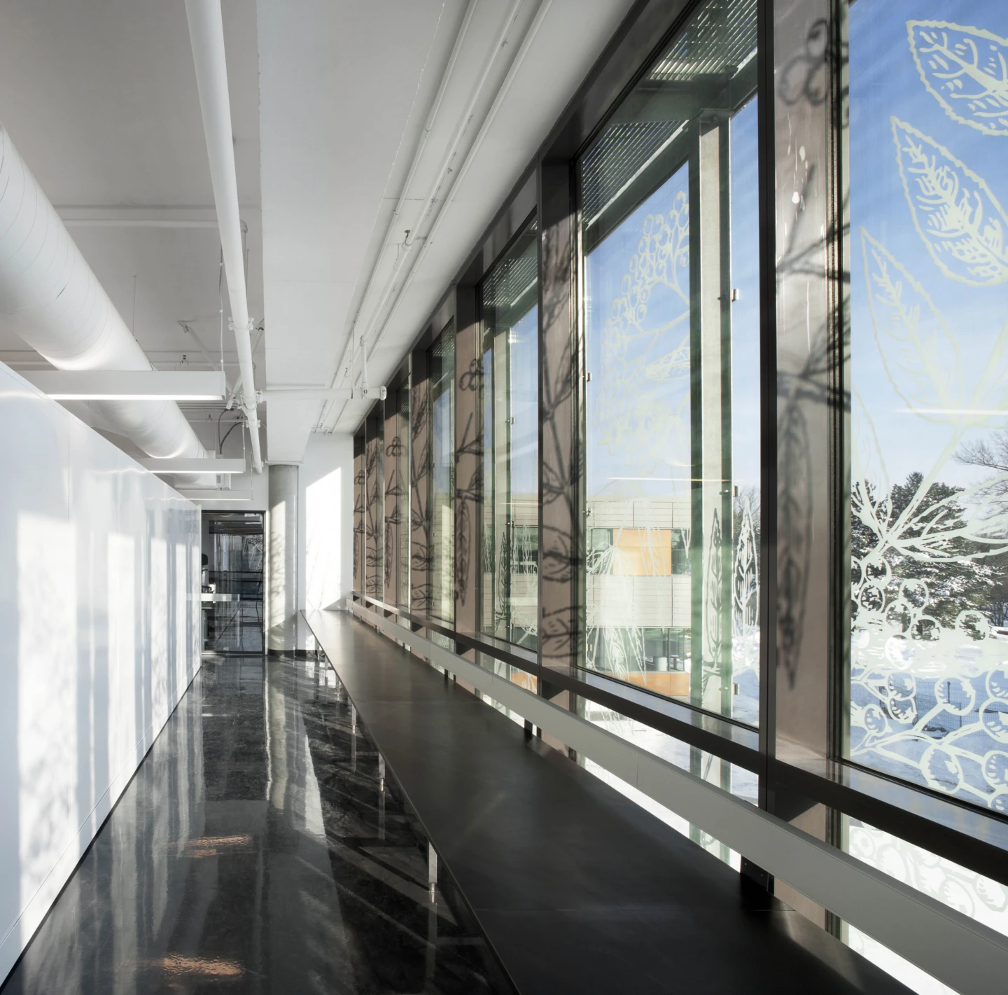 Intérieur du Centre sur la biodiversité de l’Université de Montréal