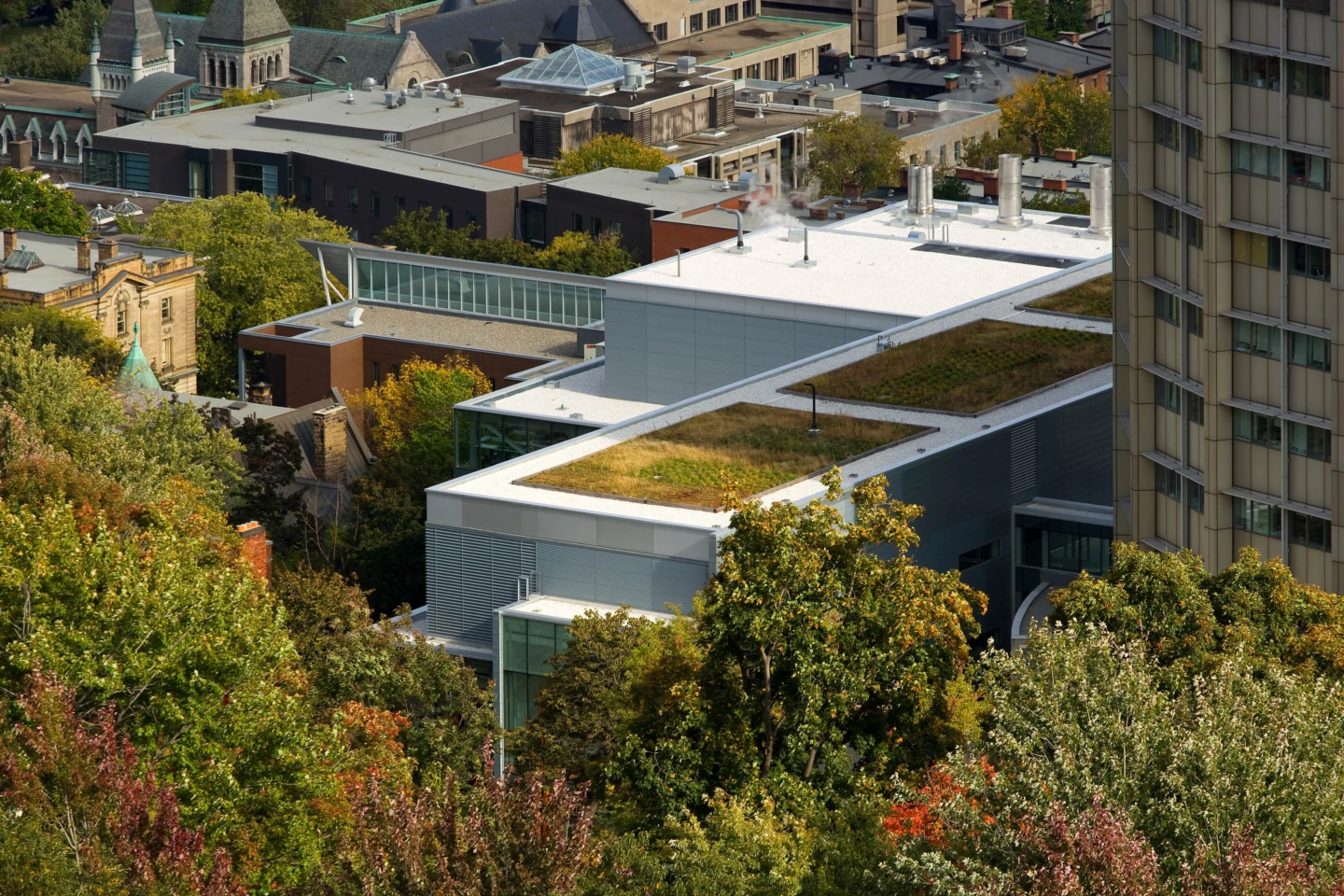 Vue du toit du Complexe des sciences de la vie – Université McGill