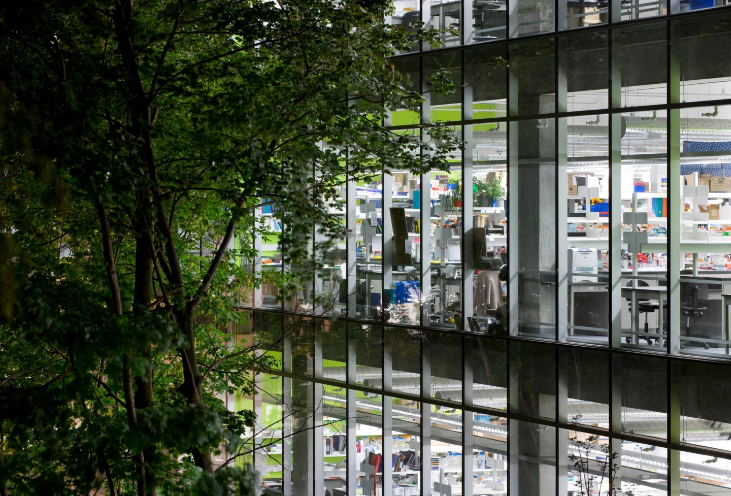 Vue des fenêtres à l'extérieur du Complexe des sciences de la vie – Université McGill