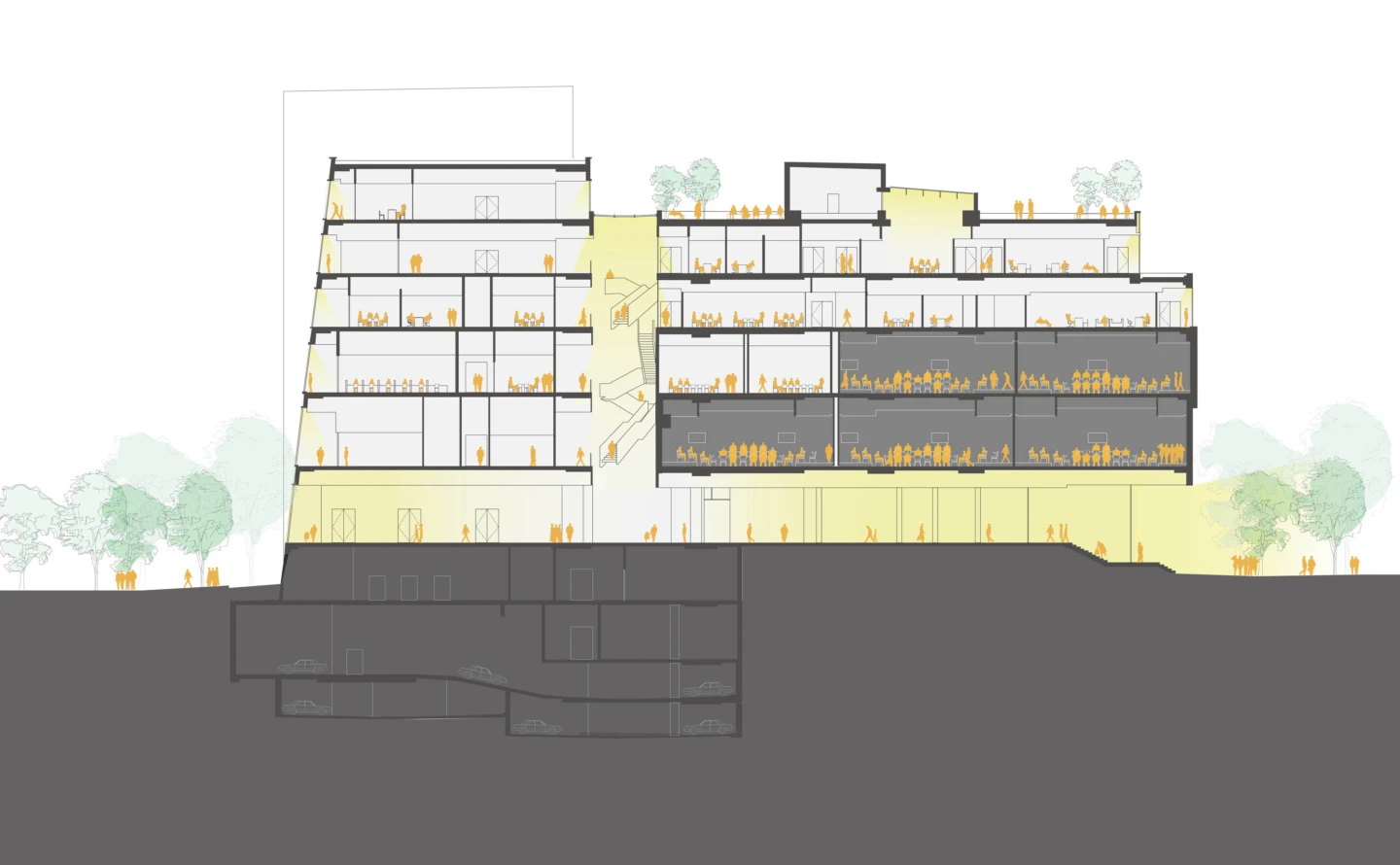 PR HEC CENTRE VILLE COUPE NORD SUD