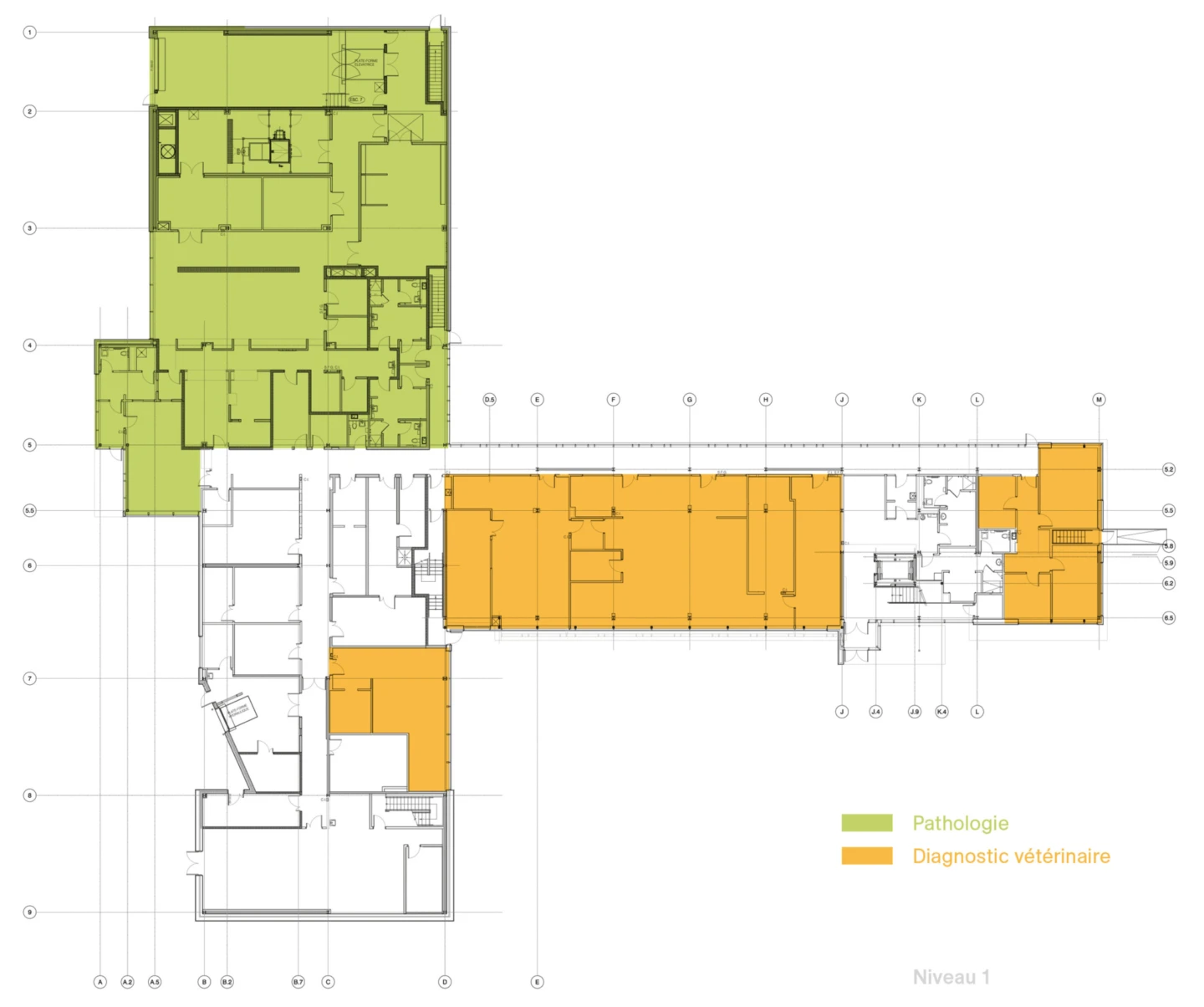 Plan du Laboratoire de santé animale à Québec