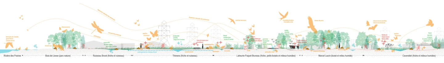 Schéma du Le Filon – Corridor de biodiversité à Saint-Laurent