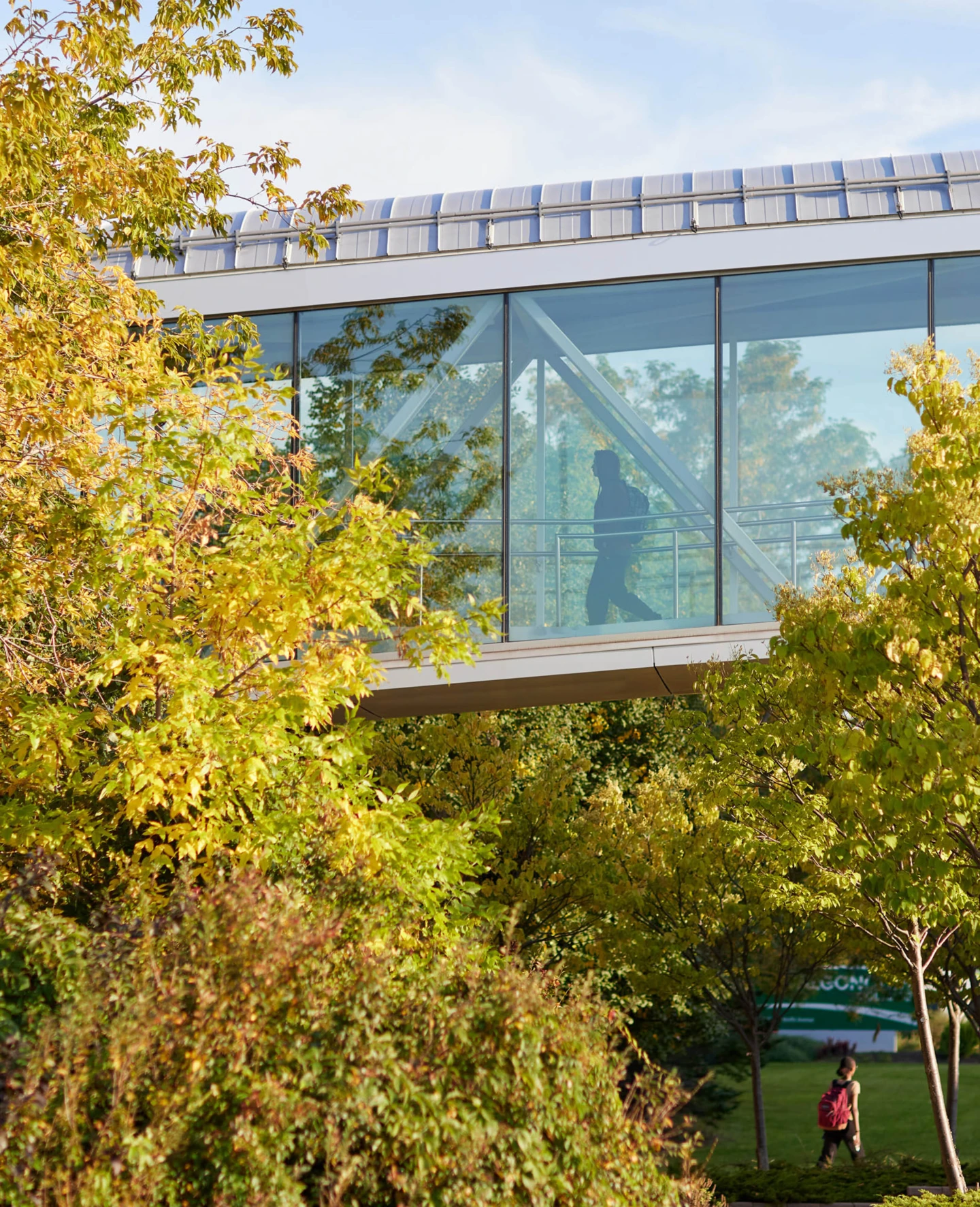 Extérieur de la passerelle piétonne de l’avenue Woodroffe, vue rapprochée
