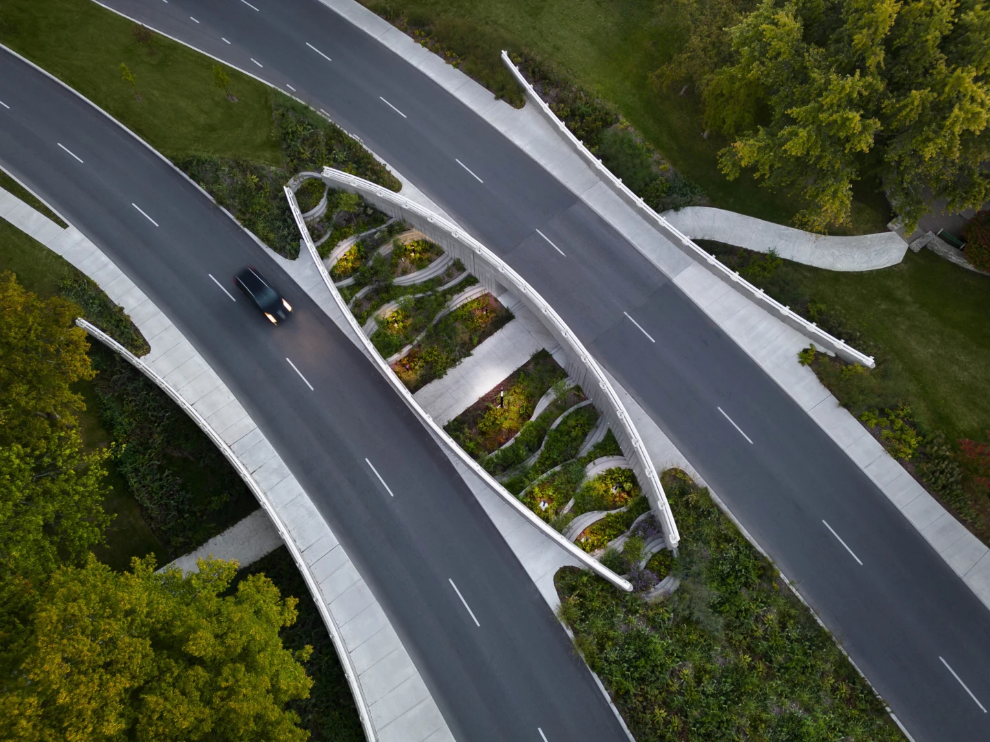 Vue de haut des Ponts Darwin