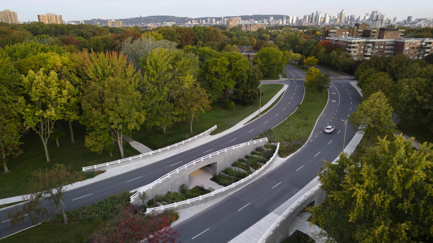 PR PONTS DARWIN SB 005