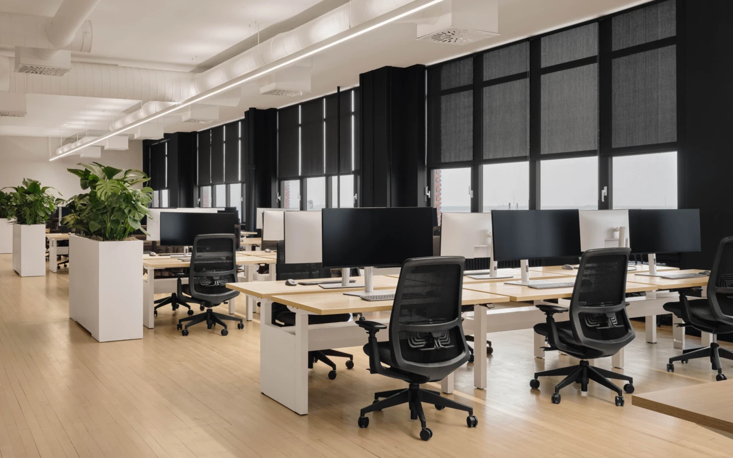 Intérieur de Zinnia, vue de l'espace bureaux