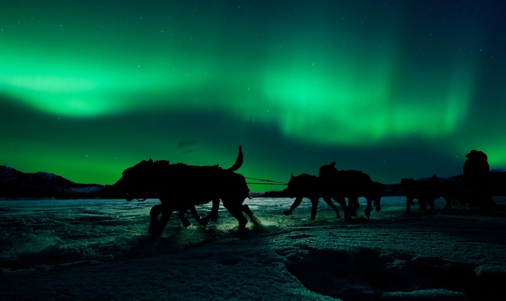 The Yukon Quest enters a new era 