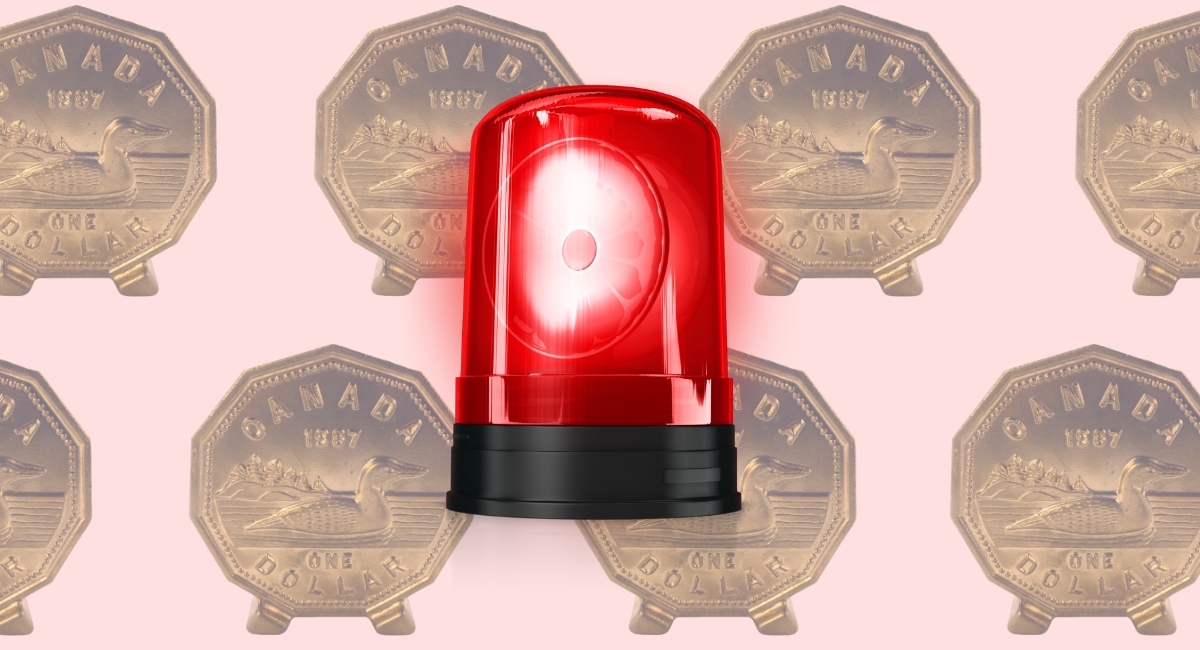 Investor bets signal loonie risks