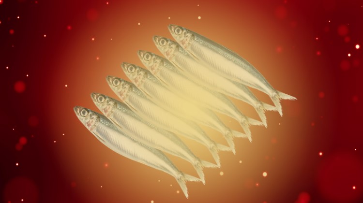 What to do this Christmas Eve