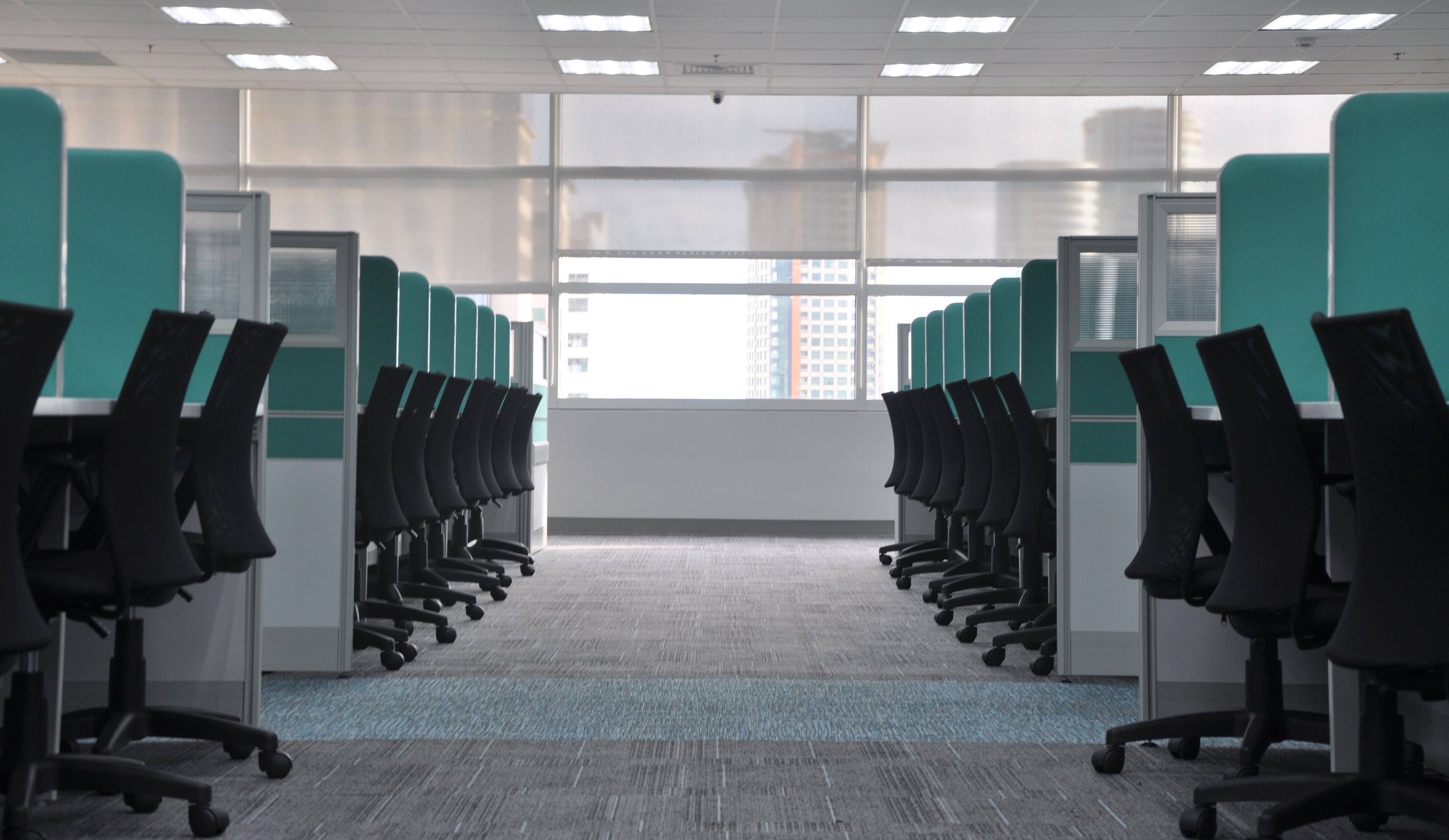 The public sector swells