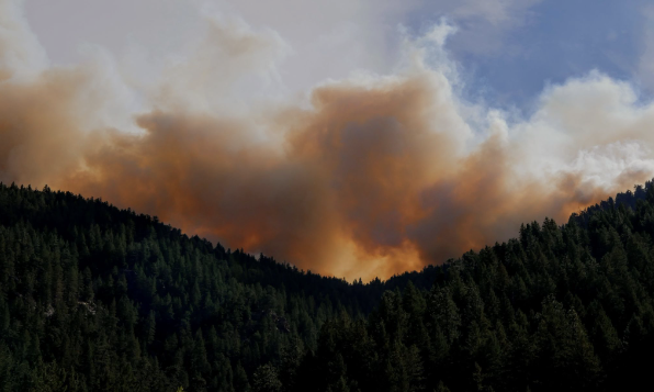 Alberta turns to AI to help fight wildfires