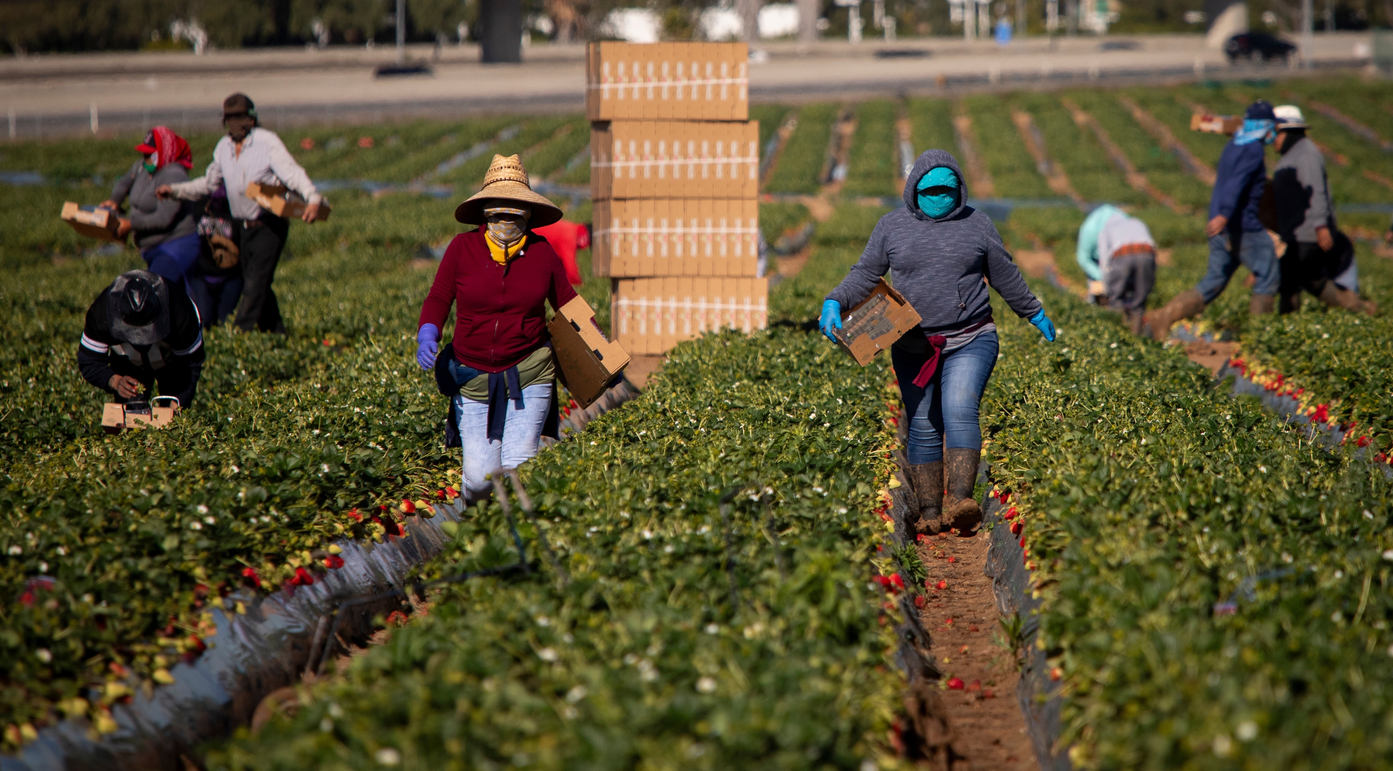 Hiring of low-wage foreign workers hits record high