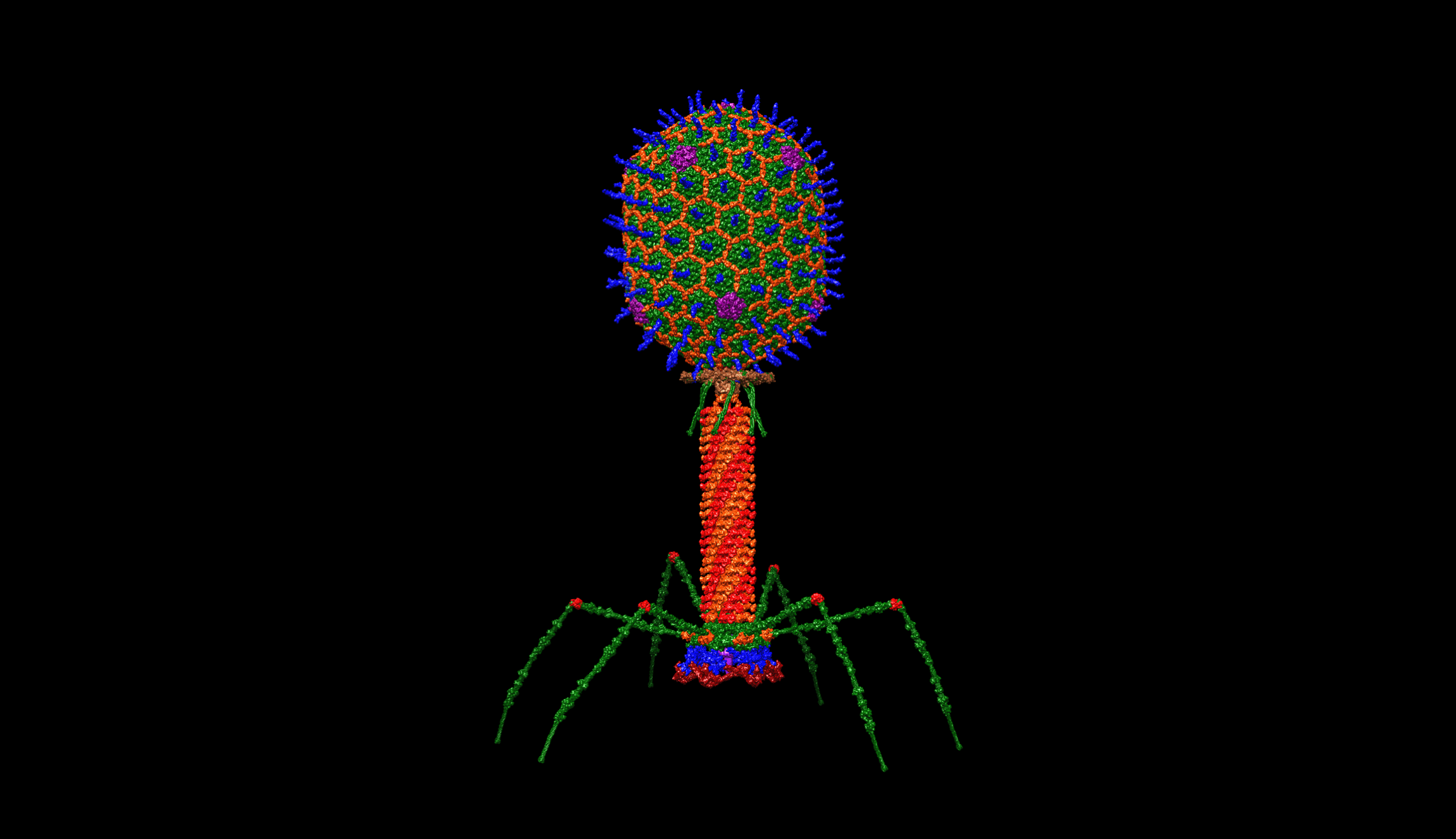Phages are all the rage
