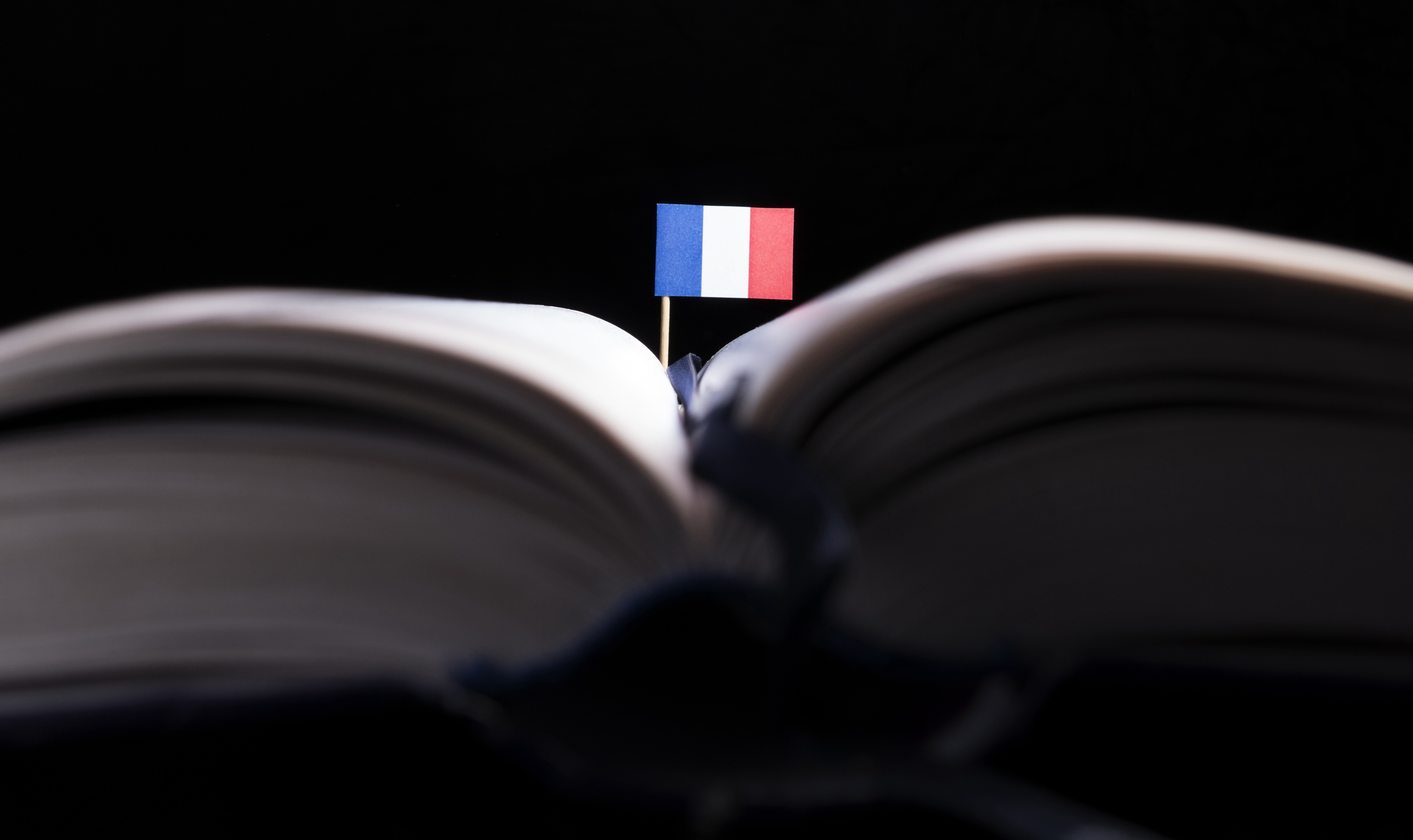 France gets a new dictionary
