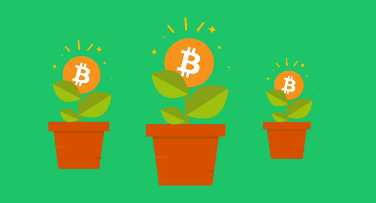 Crypto optimism is blooming