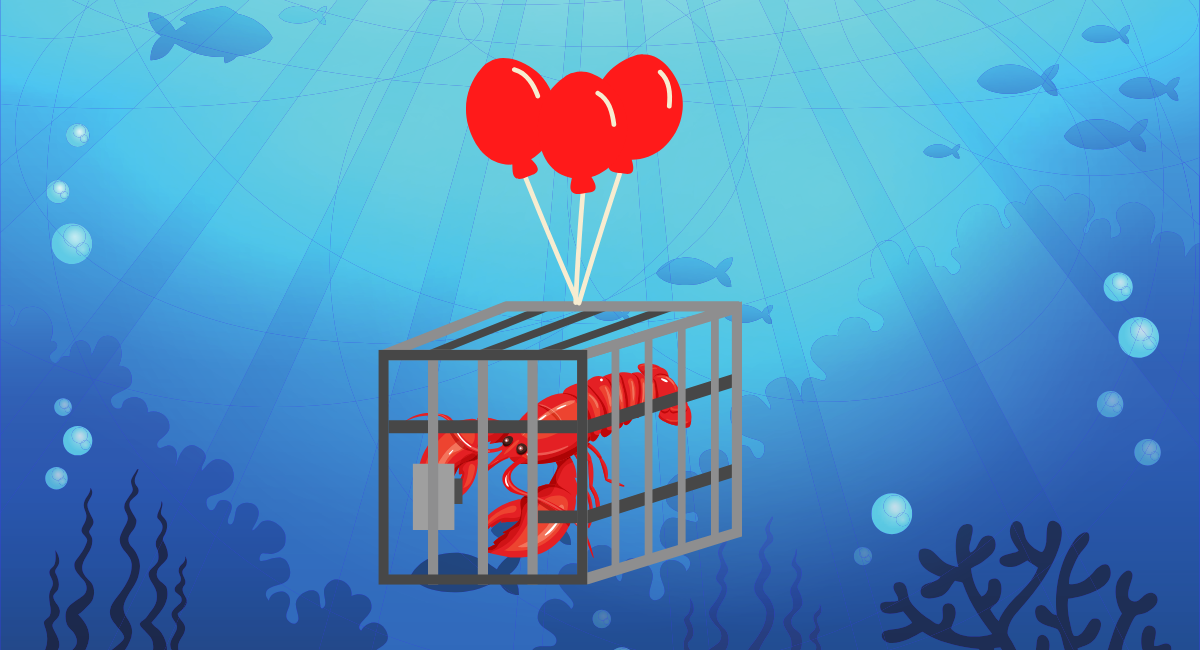 Fishermen go rope-free to save the whales