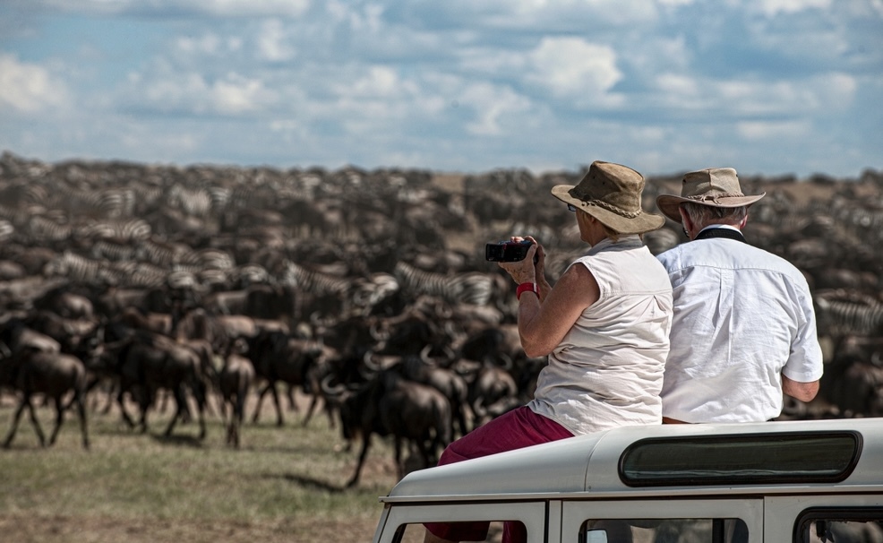 Tourists and wildlife are in a safari standoff