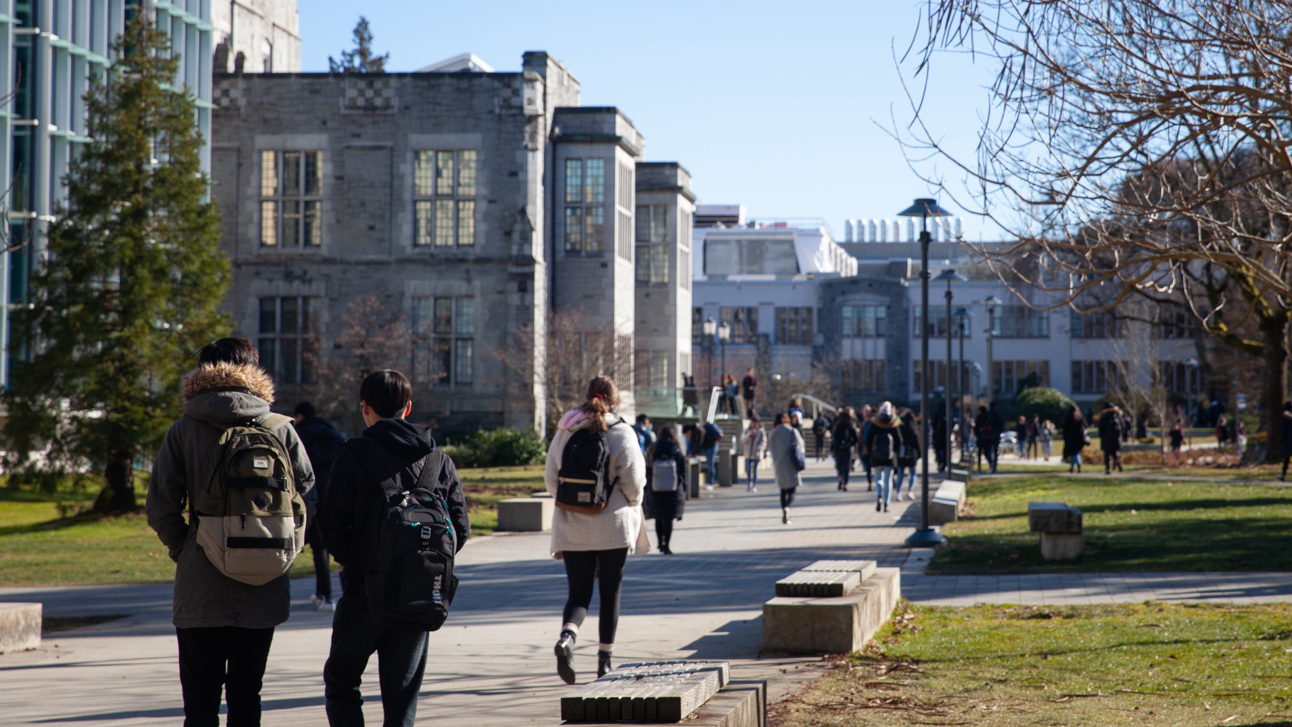 50,000 foreign students cut class