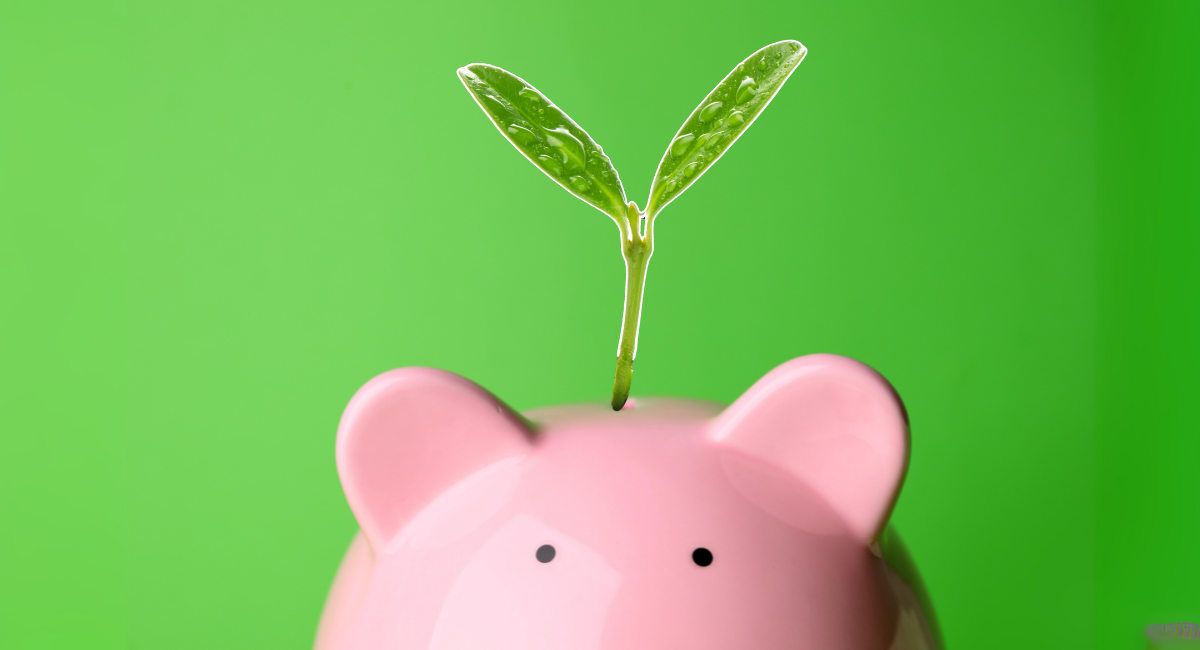 Impact funds are ready to bloom