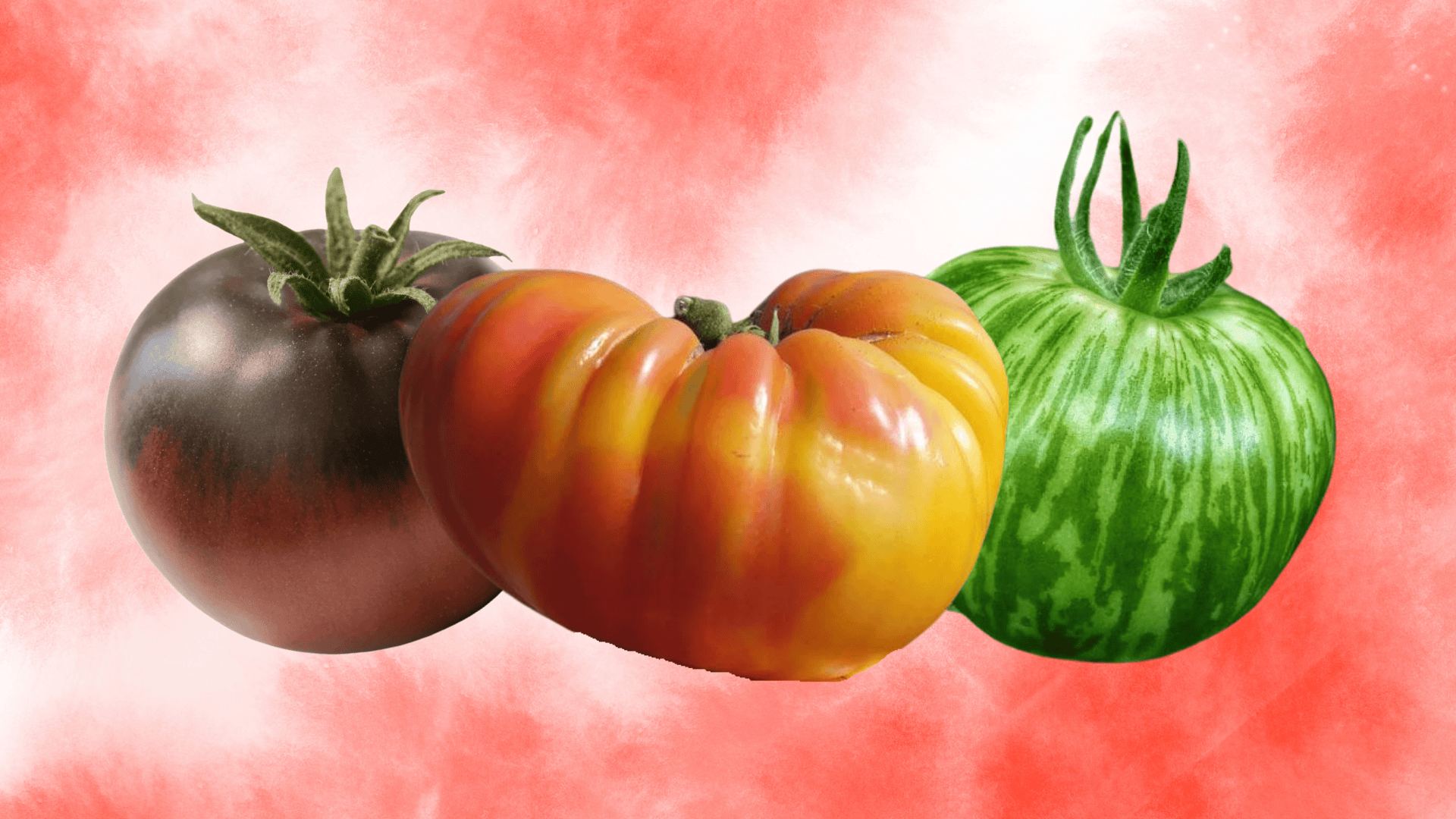 What to do this weekend