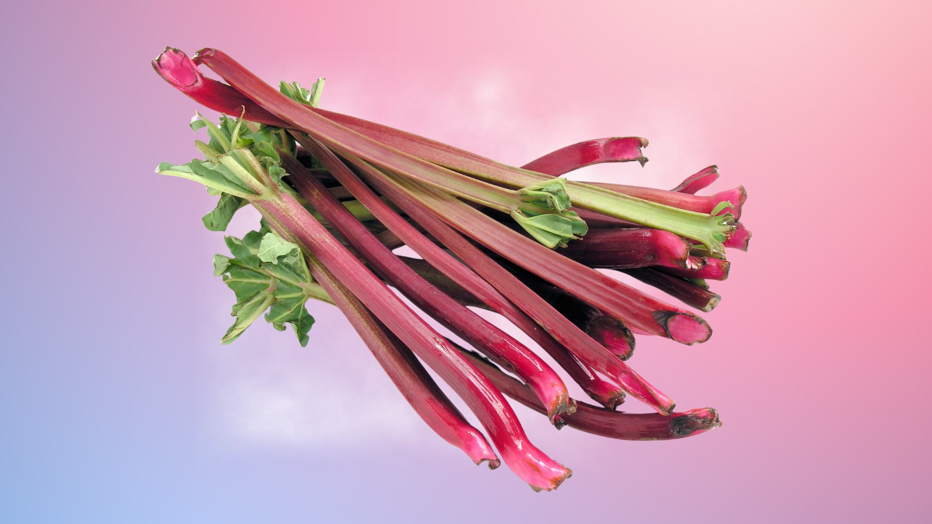 What to do this weekend