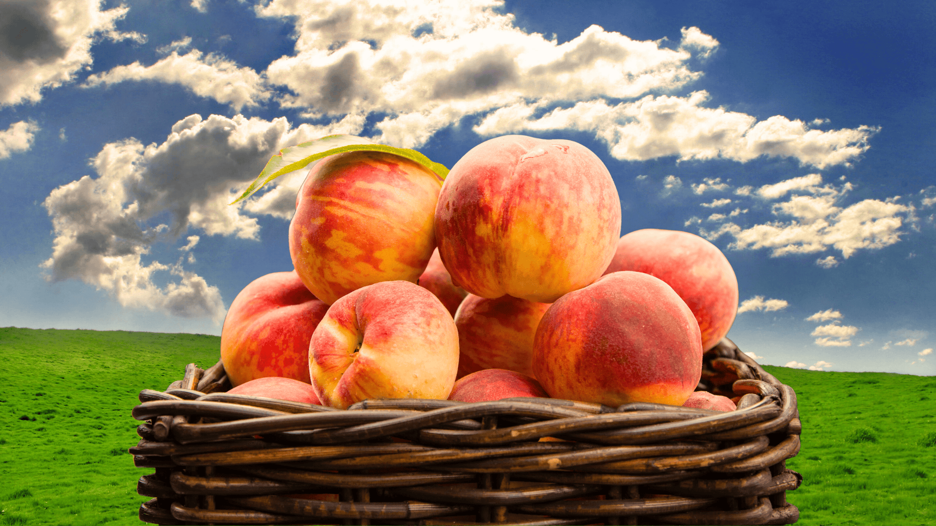 What to do this weekend