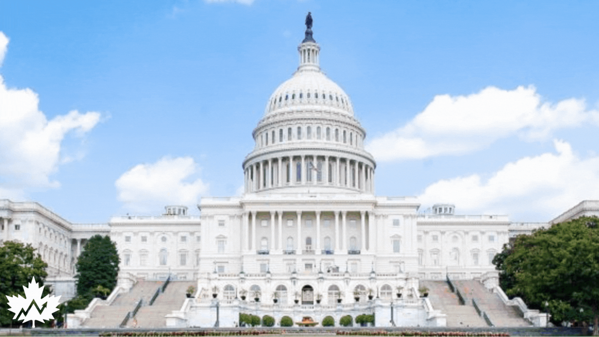 White House asks Big Tech for AI answers 