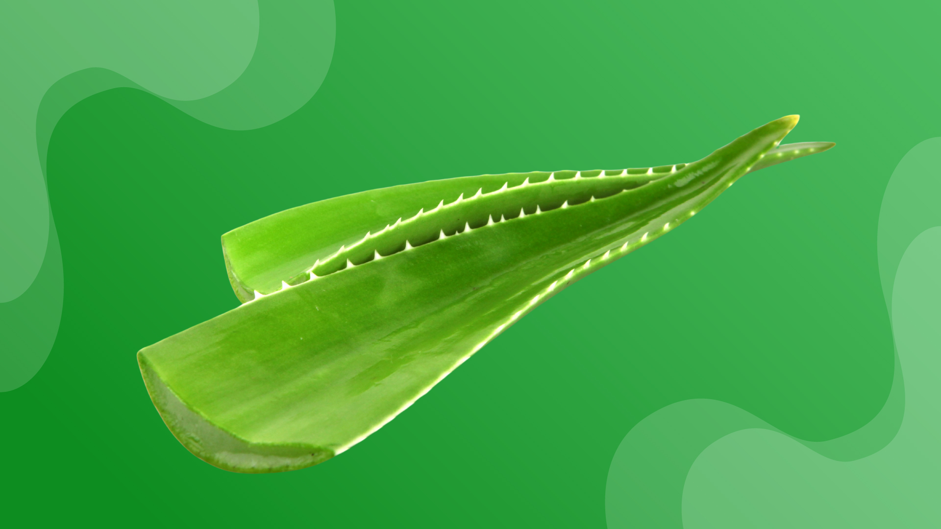 What to do this weekend