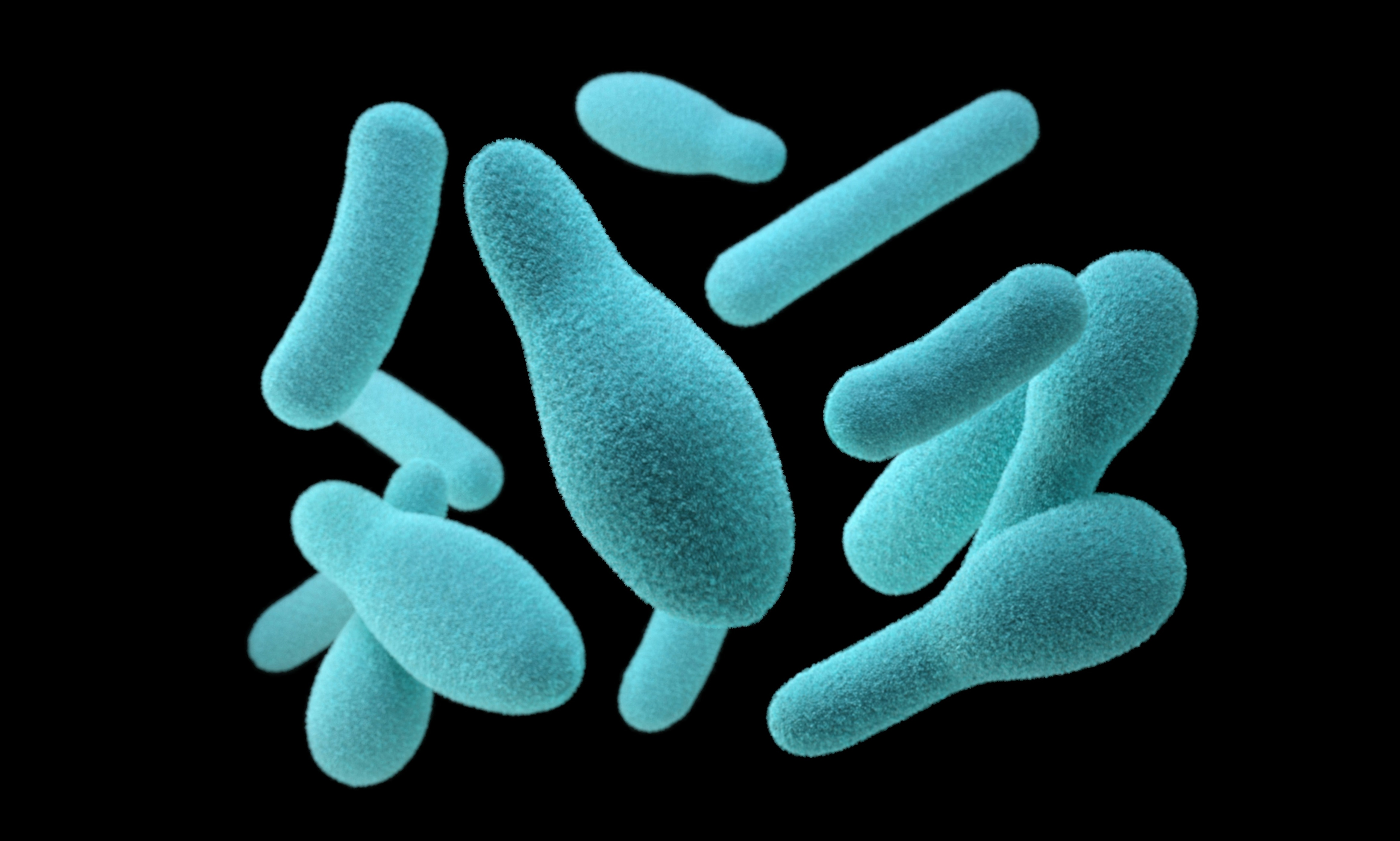 Fighting waste with plastic-eating bacteria