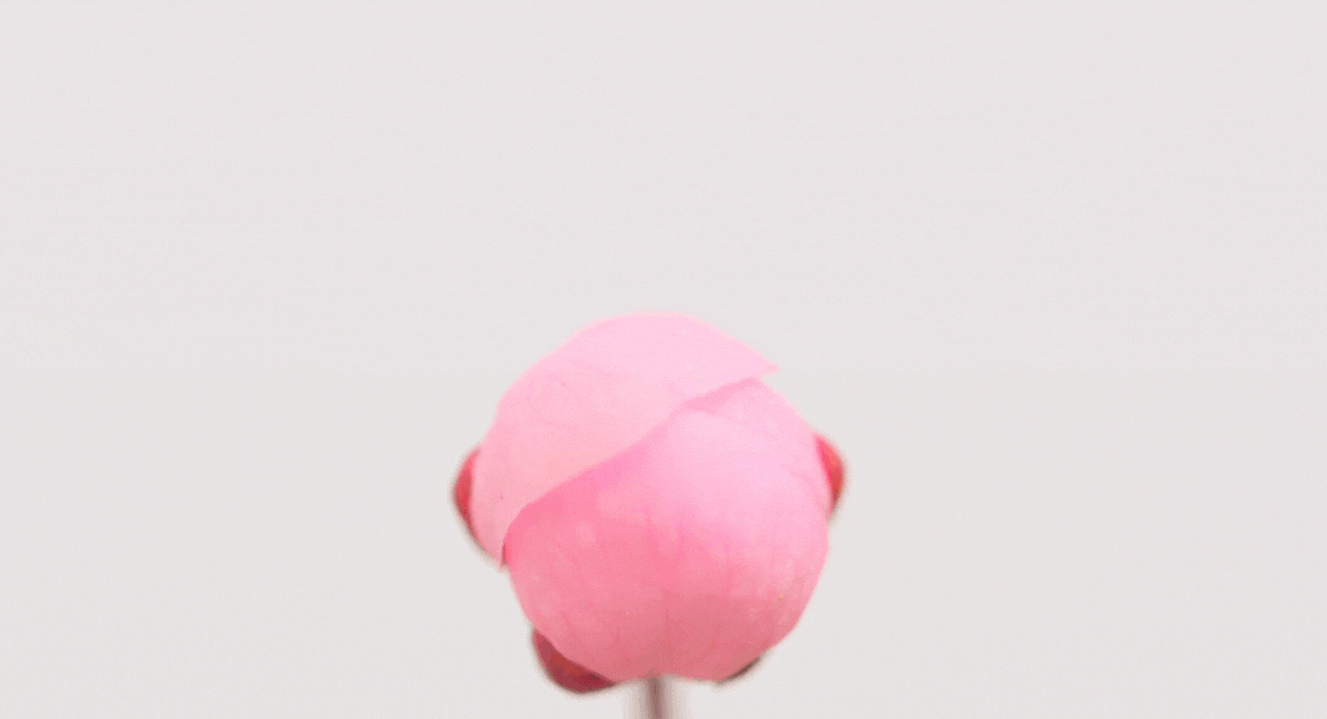 What to do this weekend