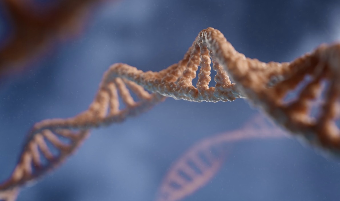 Researchers crack the Y chromosome code