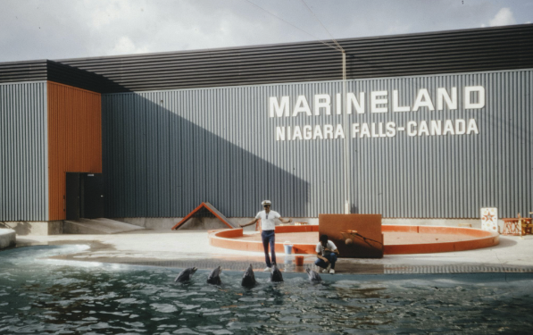 Marineland stays in hot water