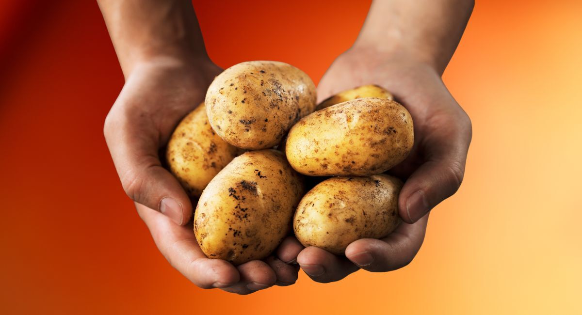 What to do this weekend