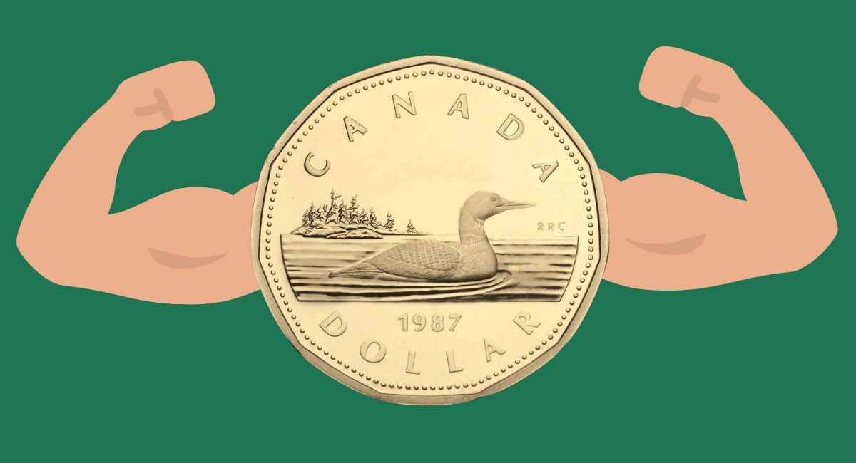 The loonie has been down, but not out