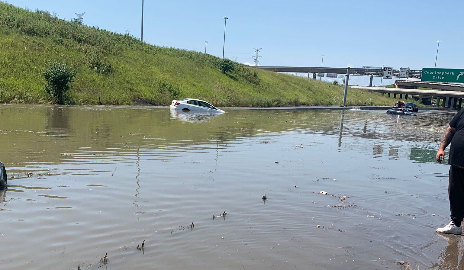 Businesses vs. Mother Nature