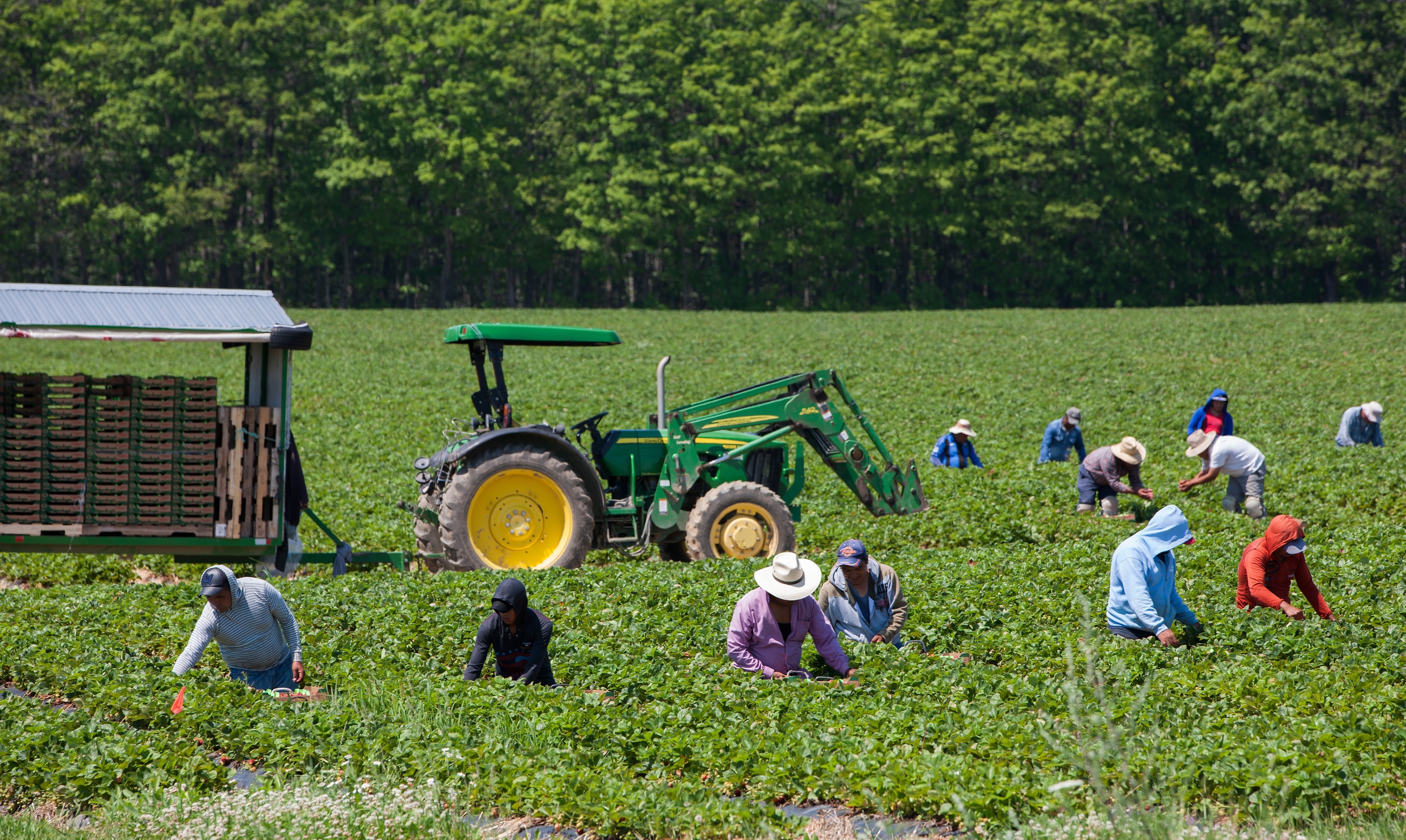 Canada limits temporary foreign labour