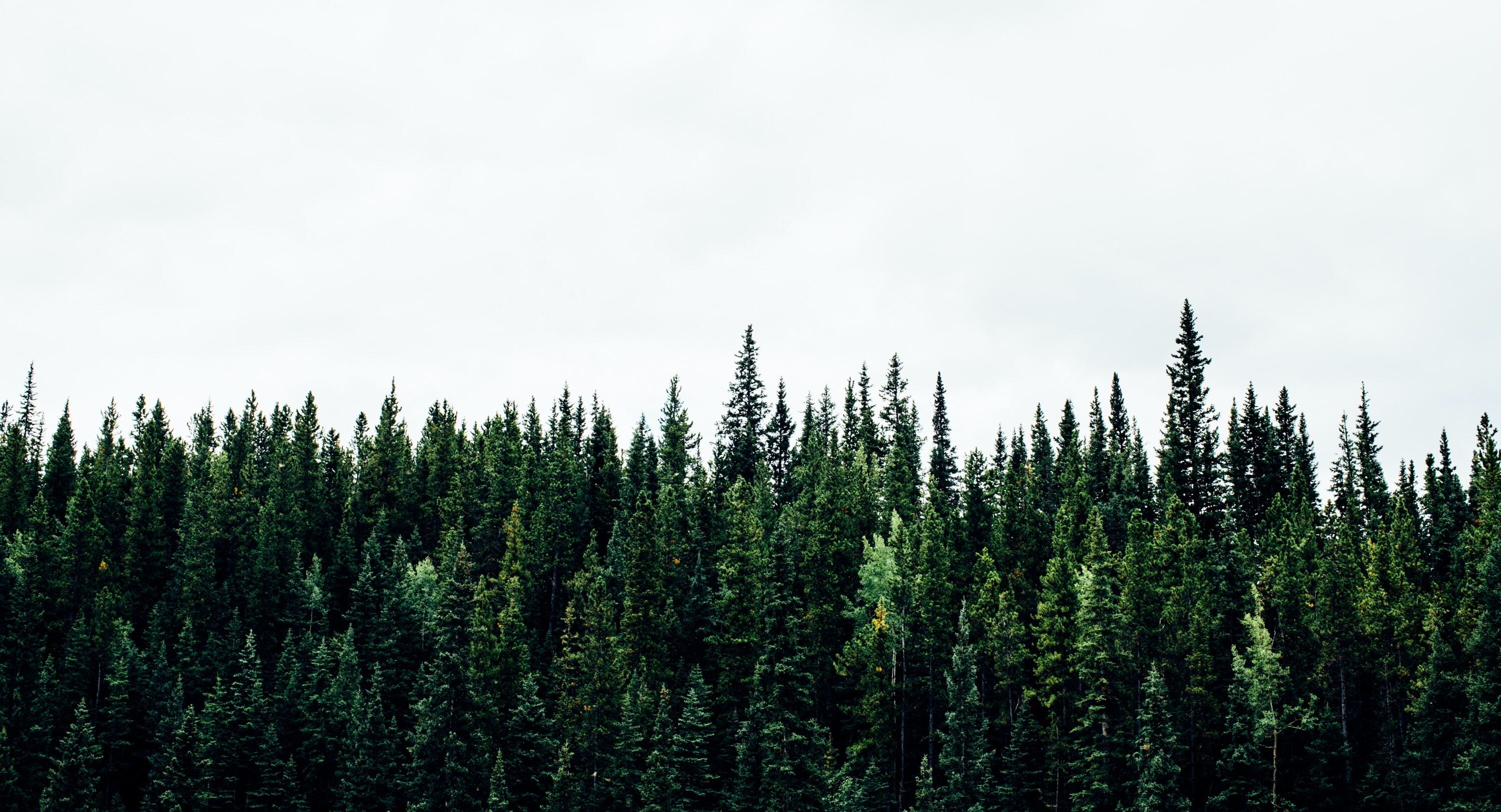 New report calls out logging problems