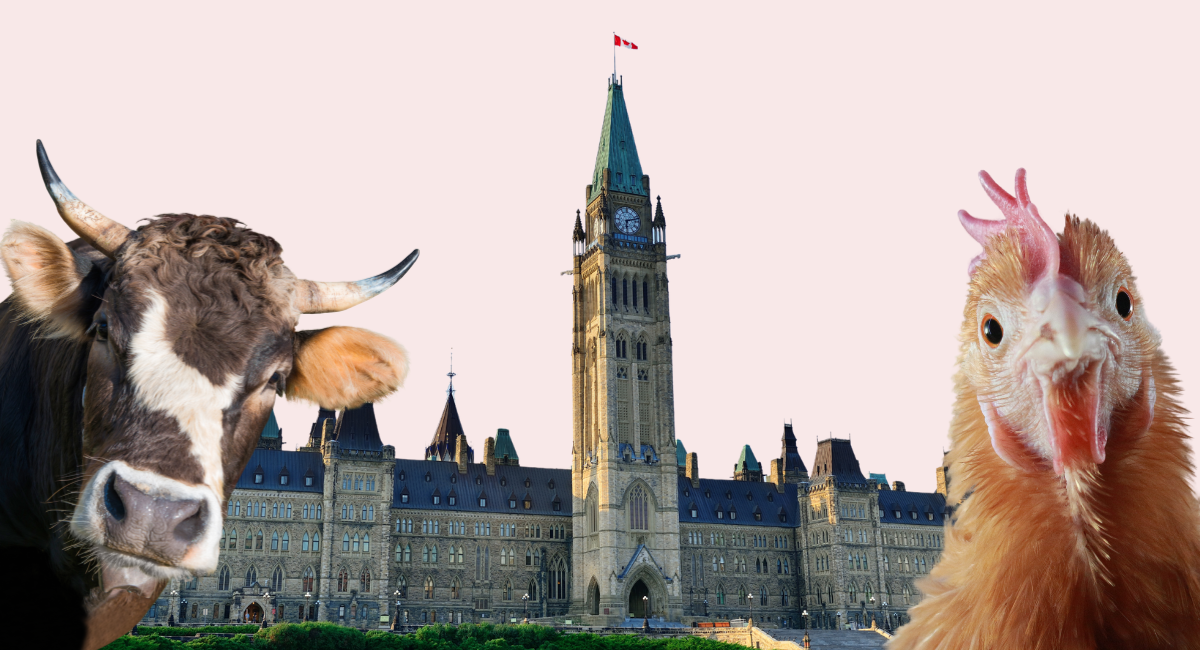 Farm bill showdown in Senate could threaten government survival
