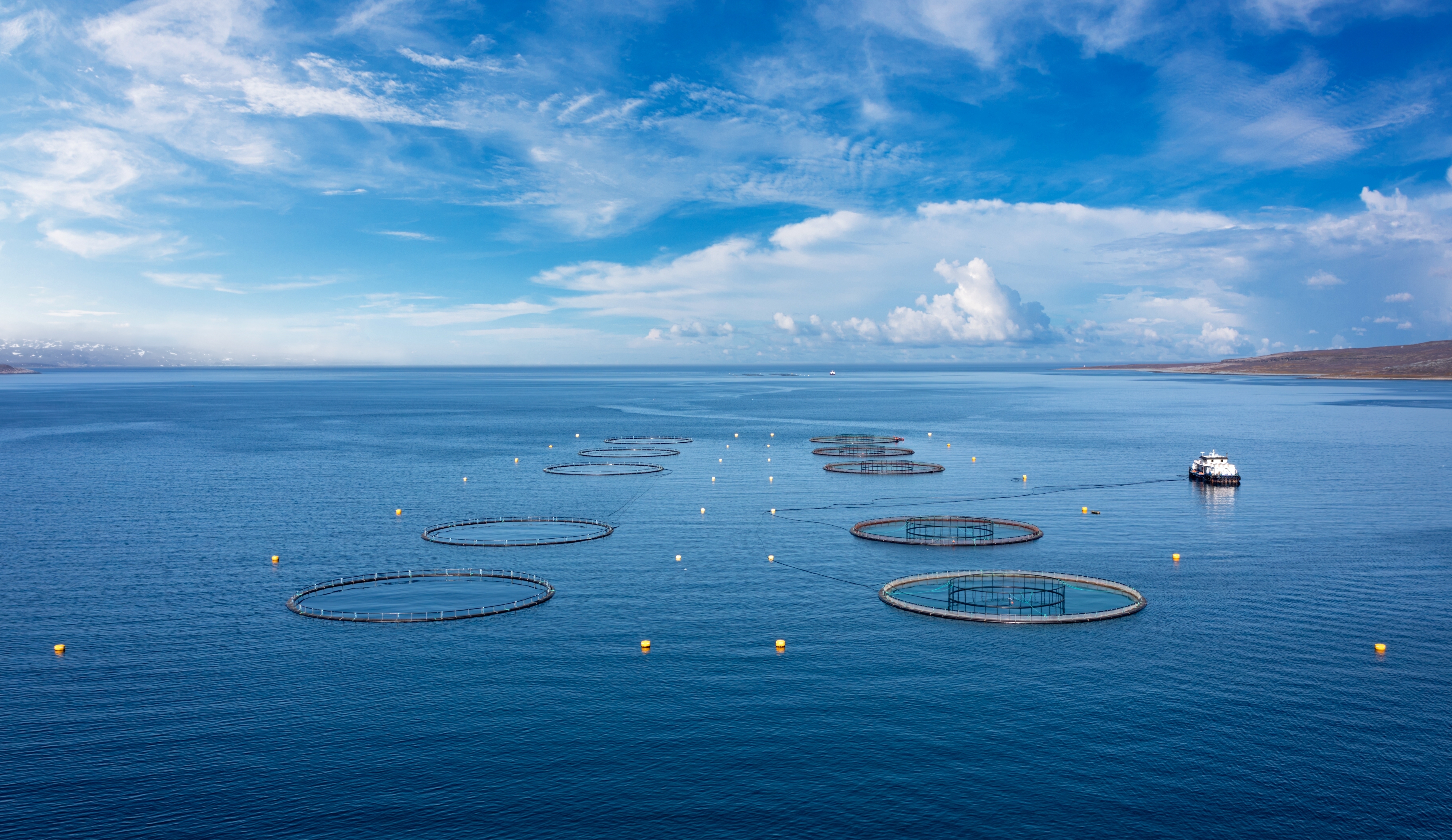 B.C. salmon farms move inland 